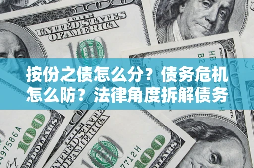 武汉按份之债怎么分？债务危机怎么防？法律角度拆解债务分配与风险自保指南