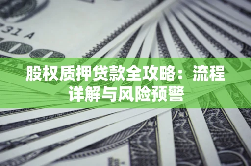 武汉股权质押贷款全攻略：流程详解与风险预警