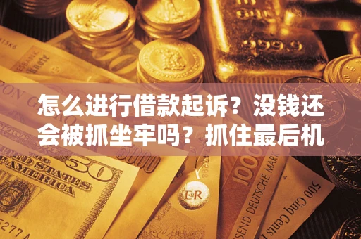 武汉怎么进行借款起诉？没钱还会被抓坐牢吗？抓住最后机会！
