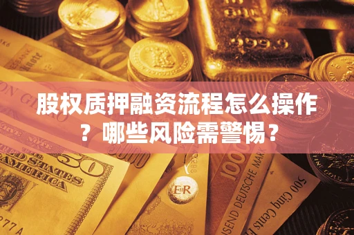武汉股权质押融资流程怎么操作？哪些风险需警惕？