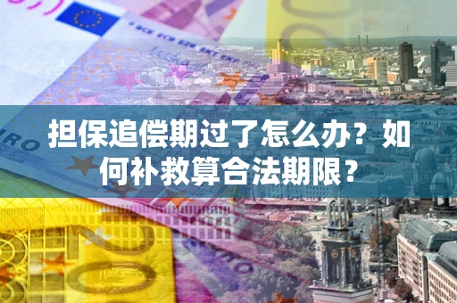 武汉担保追偿期过了怎么办？如何补救算合法期限？