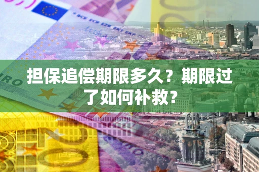 武汉担保追偿期限多久？期限过了如何补救？