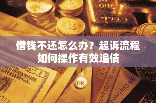 武汉借钱不还怎么办？起诉流程如何操作有效追债