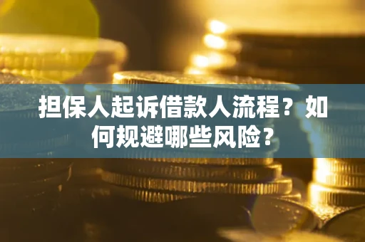 武汉担保人起诉借款人流程？如何规避哪些风险？