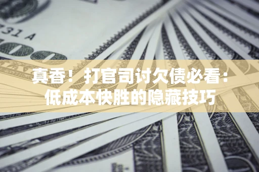 武汉真香！打官司讨欠债必看：低成本快胜的隐藏技巧
