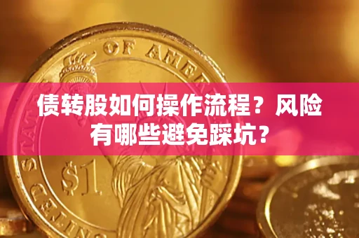 武汉债转股如何操作流程?风险有哪些避免踩坑? 武汉债转股如何操作流程?风险有哪些避免踩坑?