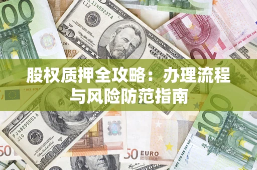 武汉股权质押全攻略：办理流程与风险防范指南