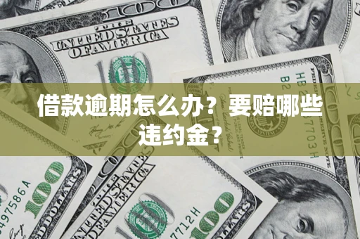武汉借款逾期怎么办？要赔哪些违约金？