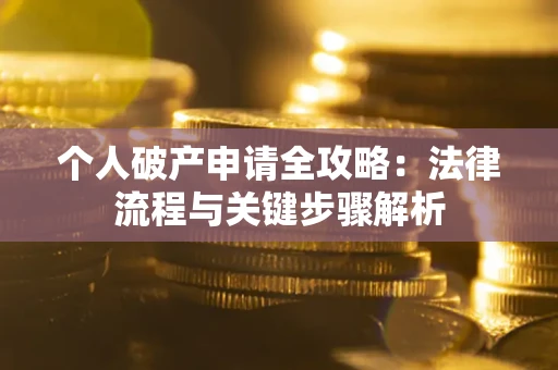 武汉个人破产申请全攻略：法律流程与关键步骤解析